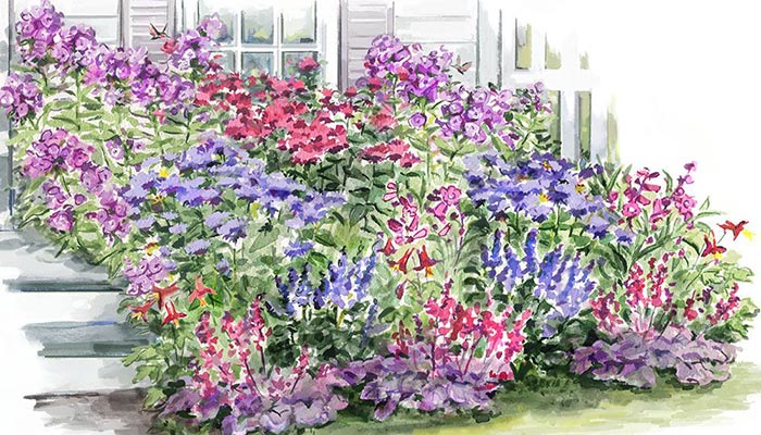 Long-Season Hummingbird Garden