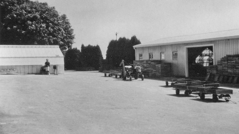 Early White Flower Farm greenhouse